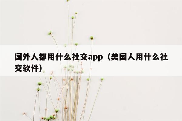 国外人都用什么社交app（美国人用什么社交软件）