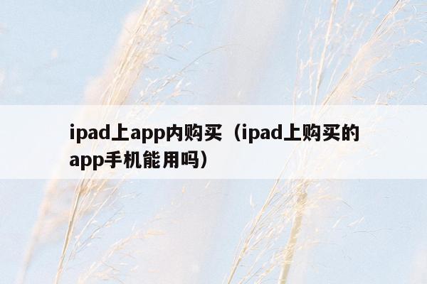 ipad上app内购买（ipad上购买的app手机能用吗）