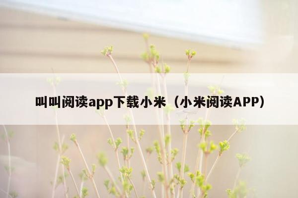 叫叫阅读app下载小米（小米阅读APP）