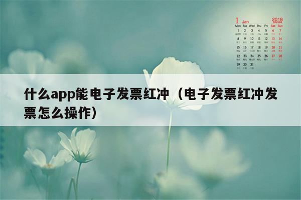 什么app能电子发票红冲（电子发票红冲发票怎么操作）