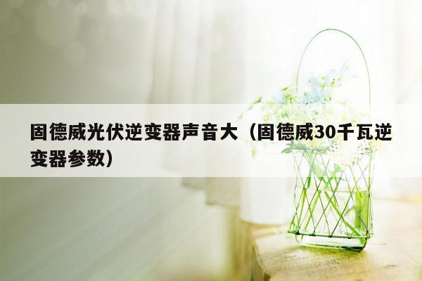 固德威光伏逆变器声音大（固德威30千瓦逆变器参数）