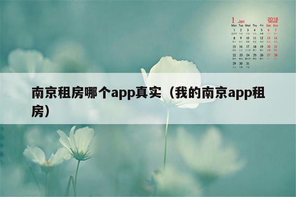 南京租房哪个app真实（我的南京app租房）