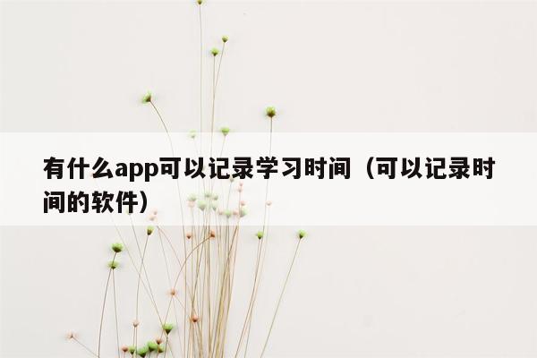 有什么app可以记录学习时间（可以记录时间的软件）