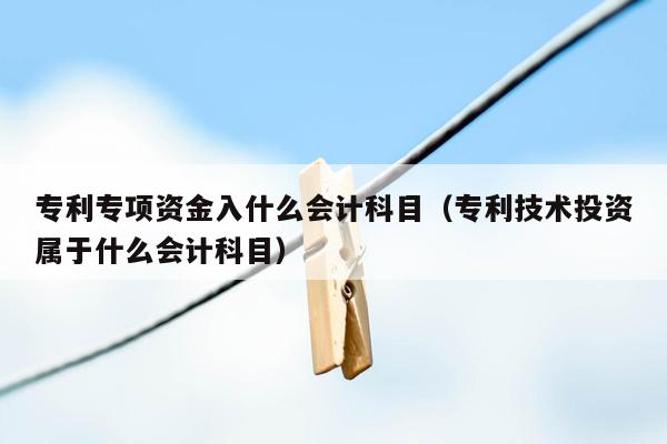 专利专项资金入什么会计科目（专利技术投资属于什么会计科目）