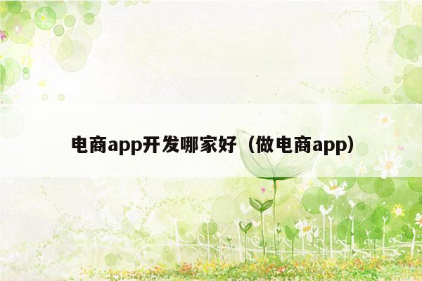 电商app开发哪家好（做电商app）