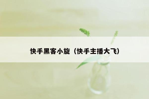 快手黑客小旋（快手主播大飞）