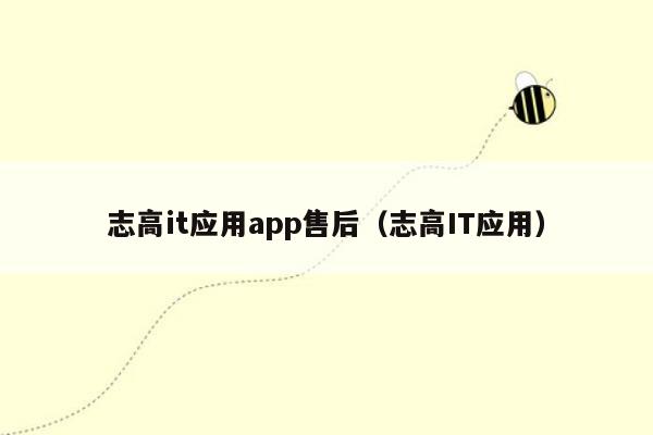 志高it应用app售后（志高IT应用）