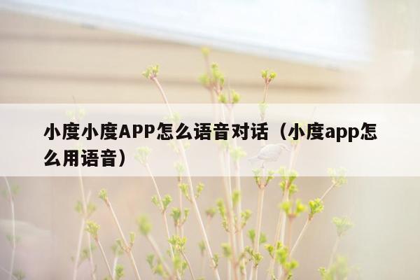 小度小度APP怎么语音对话（小度app怎么用语音）