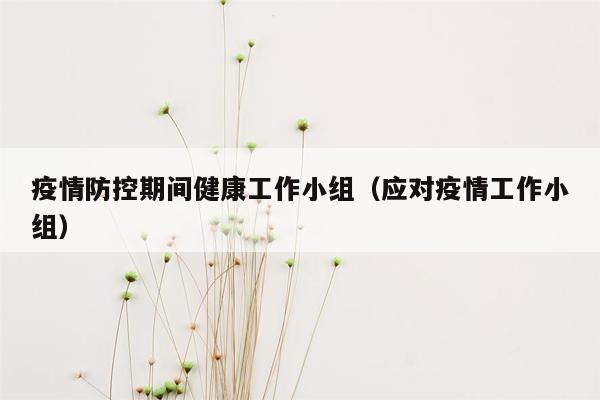 疫情防控期间健康工作小组（应对疫情工作小组）