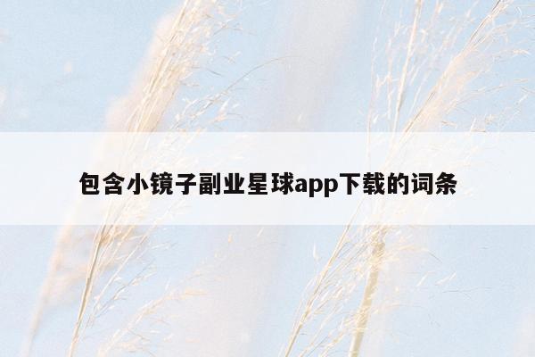 包含小镜子副业星球app下载的词条