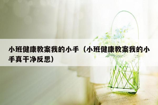 小班健康教案我的小手（小班健康教案我的小手真干净反思）