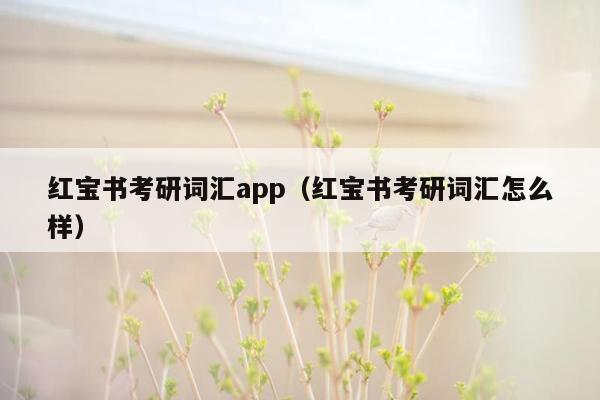 红宝书考研词汇app（红宝书考研词汇怎么样）