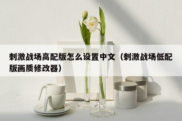 刺激战场高配版怎么设置中文（刺激战场低配版画质修改器）