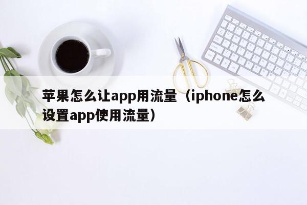 苹果怎么让app用流量（iphone怎么设置app使用流量）