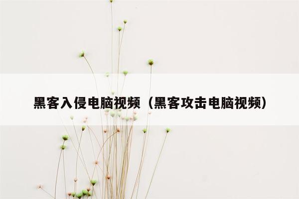 黑客入侵电脑视频（黑客攻击电脑视频）