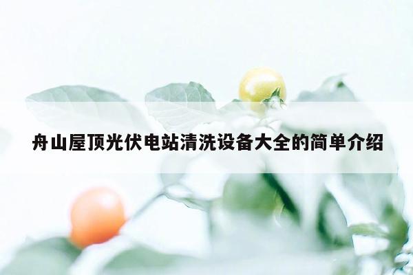 舟山屋顶光伏电站清洗设备大全的简单介绍