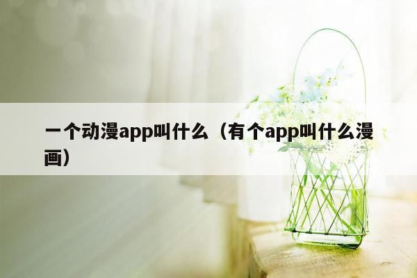 一个动漫app叫什么（有个app叫什么漫画）