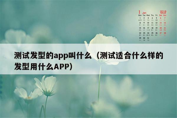 测试发型的app叫什么（测试适合什么样的发型用什么APP）