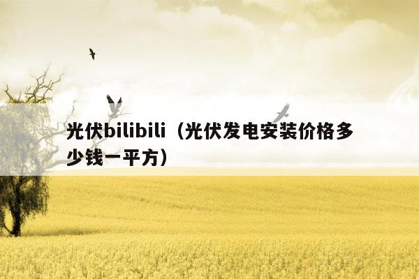 光伏bilibili（光伏发电安装价格多少钱一平方）