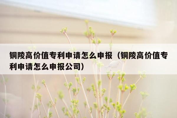 铜陵高价值专利申请怎么申报（铜陵高价值专利申请怎么申报公司）