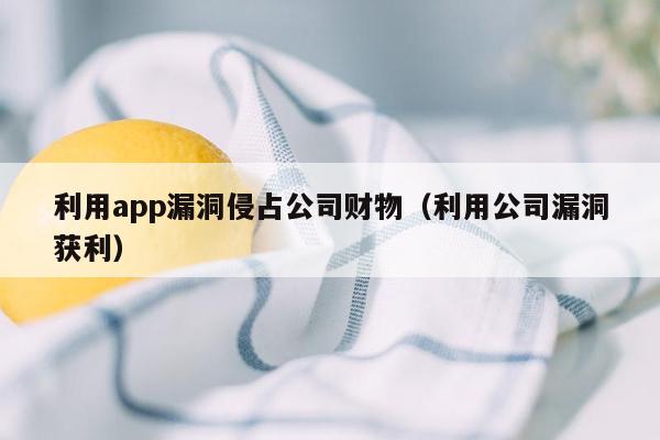 利用app漏洞侵占公司财物（利用公司漏洞获利）