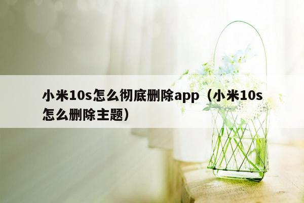 小米10s怎么彻底删除app（小米10s怎么删除主题）