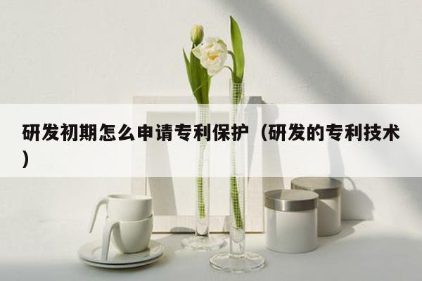 研发初期怎么申请专利保护（研发的专利技术）