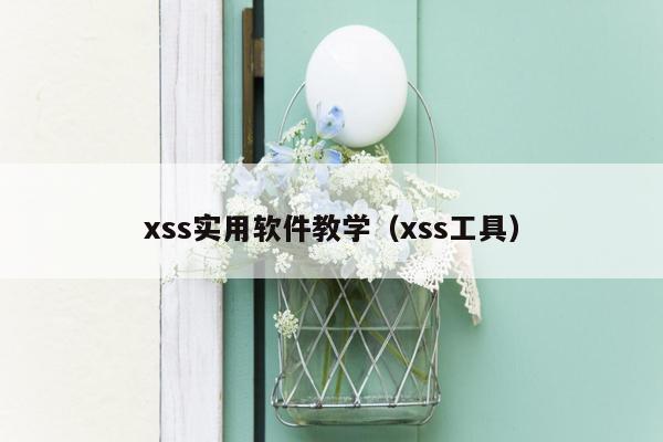 xss实用软件教学（xss工具）