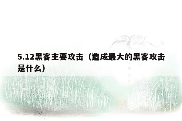 5.12黑客主要攻击（造成最大的黑客攻击是什么）