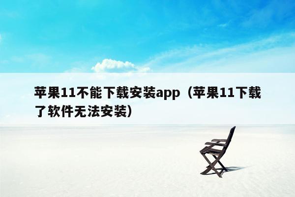 苹果11不能下载安装app（苹果11下载了软件无法安装）