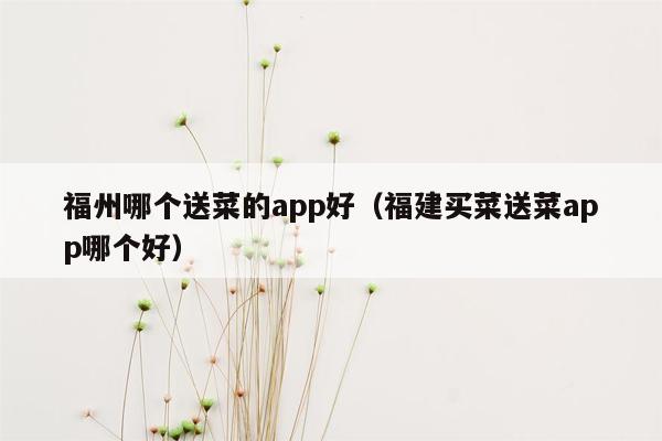 福州哪个送菜的app好（福建买菜送菜app哪个好）