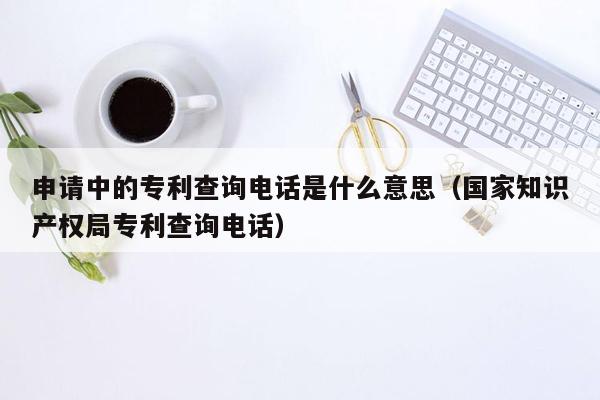 申请中的专利查询电话是什么意思（国家知识产权局专利查询电话）