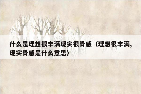 什么是理想很丰满现实很骨感（理想很丰满,现实骨感是什么意思）