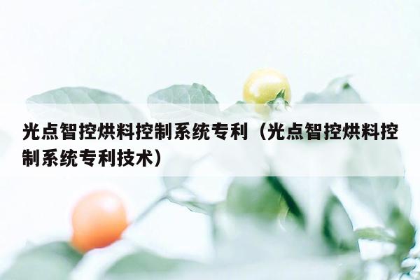 光点智控烘料控制系统专利（光点智控烘料控制系统专利技术）