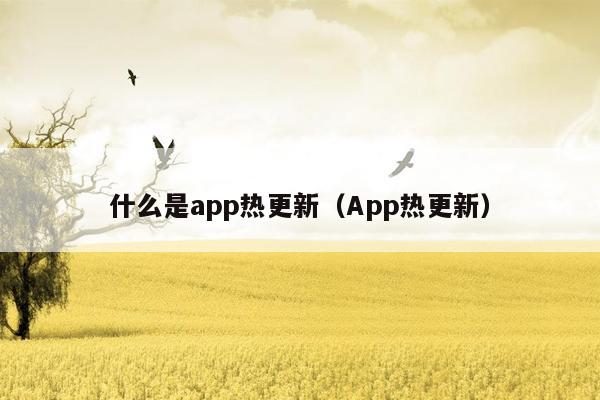 什么是app热更新（App热更新）