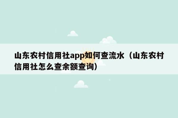 山东农村信用社app如何查流水（山东农村信用社怎么查余额查询）