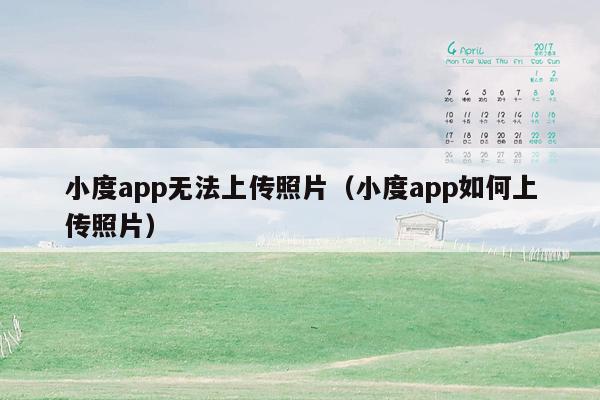 小度app无法上传照片（小度app如何上传照片）