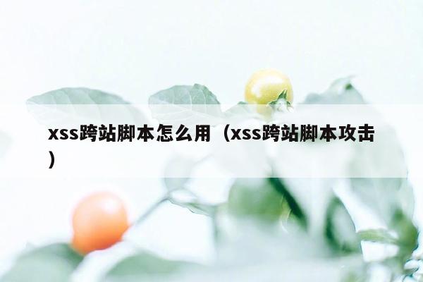 xss跨站脚本怎么用（xss跨站脚本攻击）