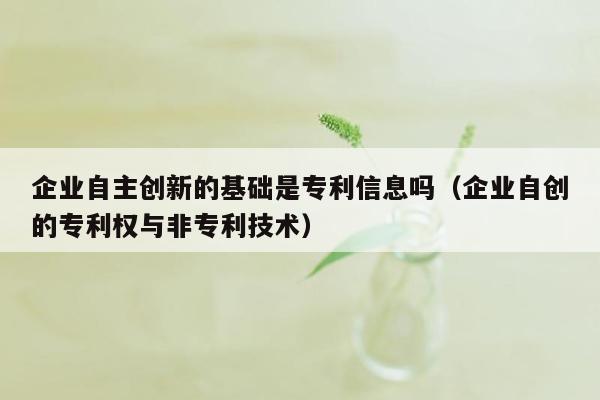 企业自主创新的基础是专利信息吗（企业自创的专利权与非专利技术）