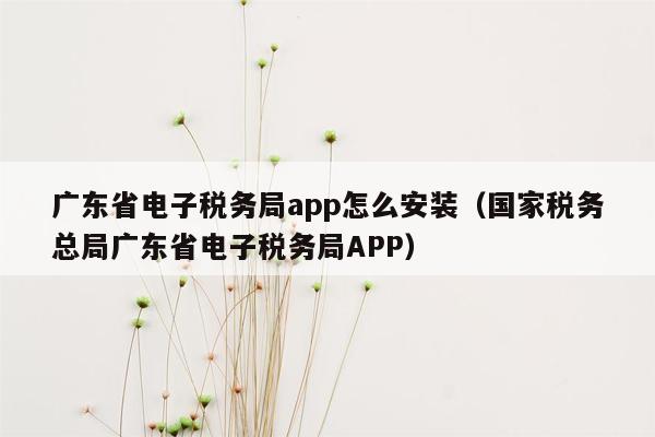 广东省电子税务局app怎么安装（国家税务总局广东省电子税务局APP）