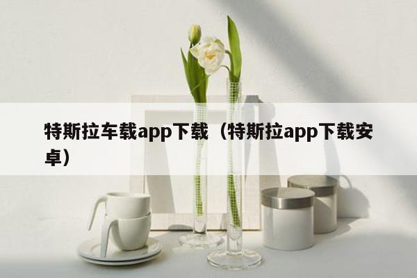 特斯拉车载app下载（特斯拉app下载安卓）