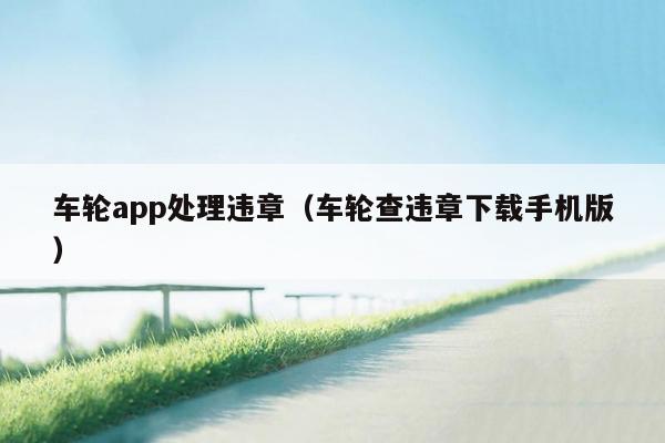 车轮app处理违章（车轮查违章下载手机版）