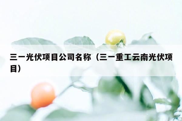 三一光伏项目公司名称（三一重工云南光伏项目）