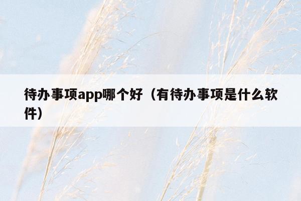 待办事项app哪个好（有待办事项是什么软件）