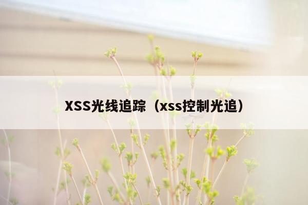 XSS光线追踪（xss控制光追）