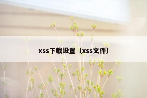 xss下载设置（xss文件）