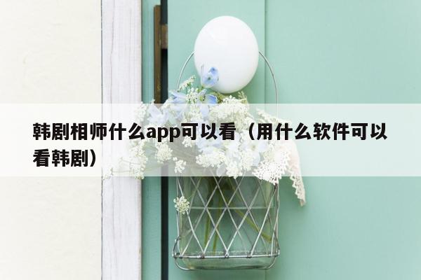 韩剧相师什么app可以看（用什么软件可以看韩剧）