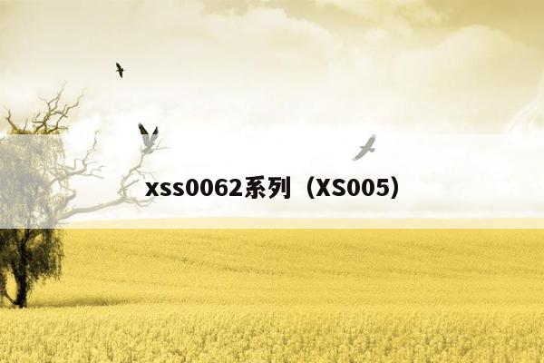 xss0062系列（XS005）