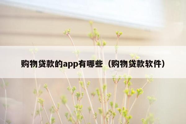 购物贷款的app有哪些（购物贷款软件）