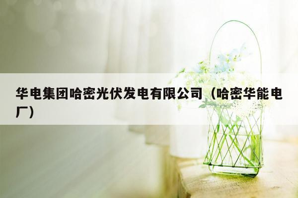 华电集团哈密光伏发电有限公司（哈密华能电厂）